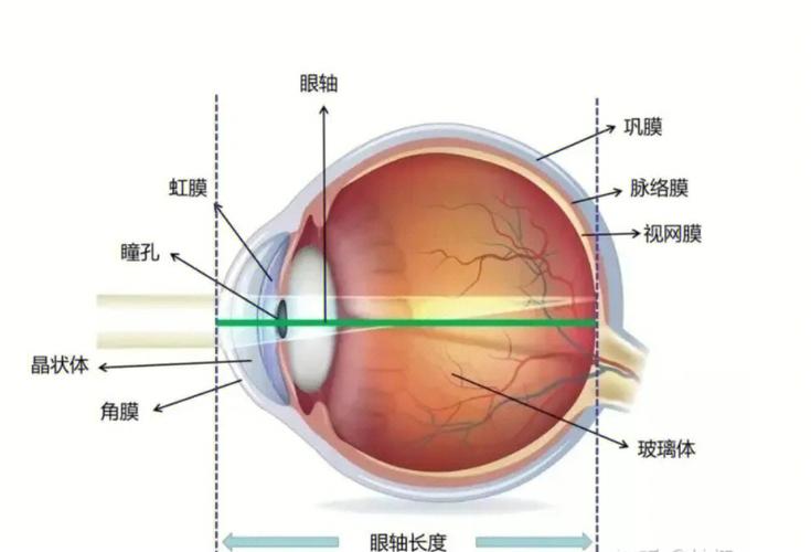 北京万岁中医院_灵气治病_美容减肥长寿_高血压高血脂高血糖_脑梗脑溢血_近视肥胖痴呆_头疼失眠_病毒肝炎_病毒感冒_肿瘤癌症