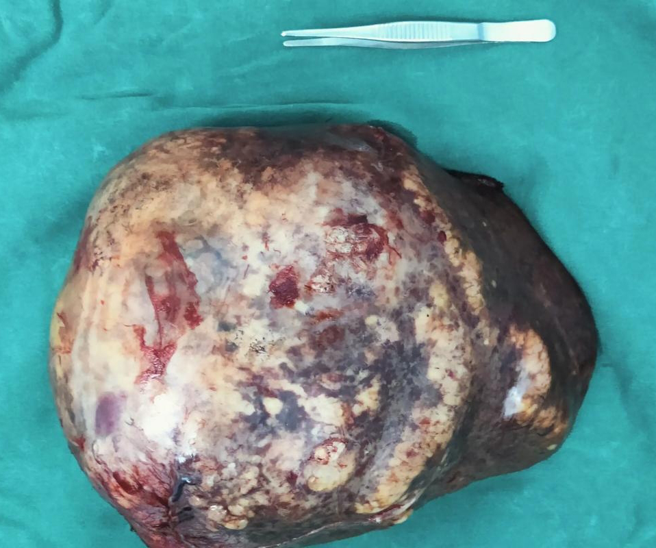 万寿医院万寿医院万寿医院万寿医院万寿医院万寿医院长寿医院