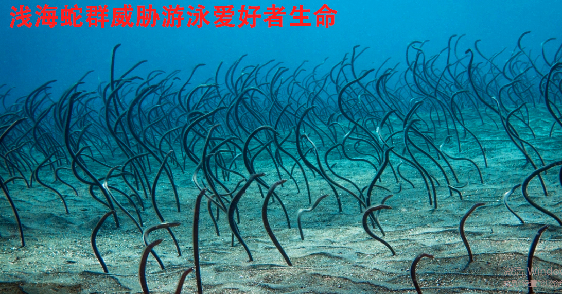 北京万岁医院_灵气治病_美容减肥长寿_高血压高血脂高血糖_脑梗脑溢血_近视肥胖痴呆_头疼失眠_病毒肝炎_病毒感冒_肿瘤癌症