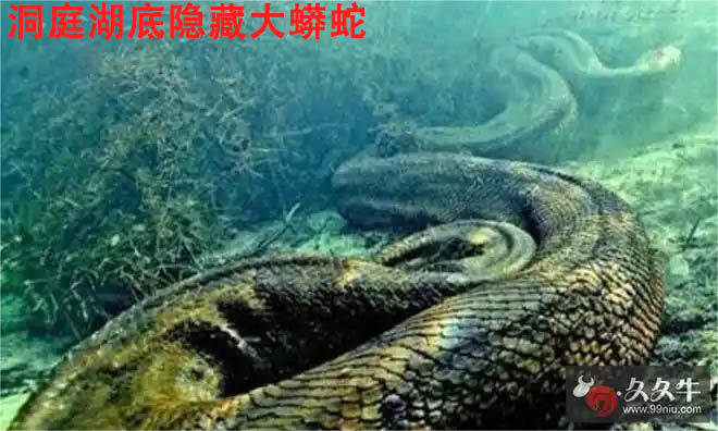 北京万岁医院_灵气治病_美容减肥长寿_高血压高血脂高血糖_脑梗脑溢血_近视肥胖痴呆_头疼失眠_病毒肝炎_病毒感冒_肿瘤癌症