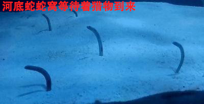 北京万岁医院_灵气治病_美容减肥长寿_高血压高血脂高血糖_脑梗脑溢血_近视肥胖痴呆_头疼失眠_病毒肝炎_病毒感冒_肿瘤癌症