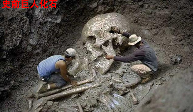 史前高科_北京史前高科科技有限公司_史前医院_史前房地产_史前美食—史前网络-史前复活机-史前旅游-史前创业