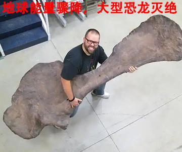 史前高科_北京史前高科科技有限公司_史前医院_史前房地产_史前美食—史前网络-史前复活机-史前旅游-史前创业