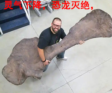 龙科龙医_龙科龙医_灵气治病_美容减肥长寿_高血压高血脂高血糖_脑梗脑溢血_近视肥胖痴呆_头疼失眠_病毒肝炎_病毒感冒_肿瘤癌症