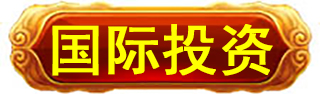 国际投资国际投资国际投资国际投资国际投资国际投资